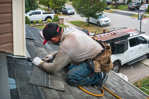 Professional Gutter Repair And Installation technician working in Troy, IL